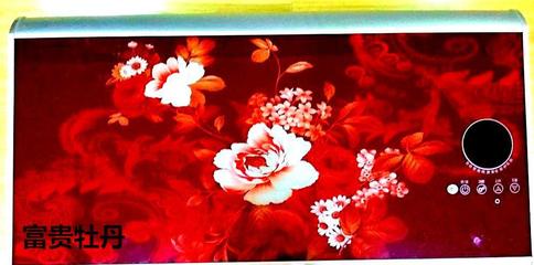 攜手順太樂，共贏綠色未來 誠征節(jié)能健康環(huán)保電熱兩用熱水器代理經(jīng)銷商